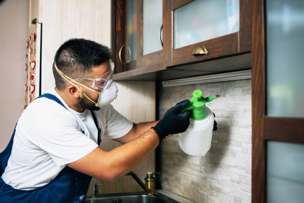 Best Mosquito Control Services  in Lakeview, MI