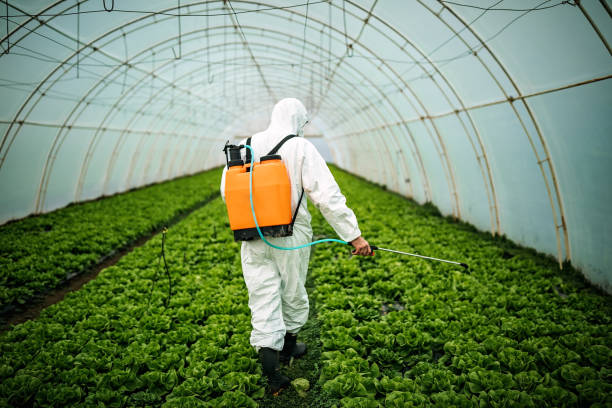 Best Affordable Pest Control Services  in Lakeview, MI