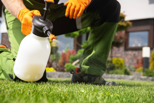 Best Pest Prevention Services  in Lakeview, MI