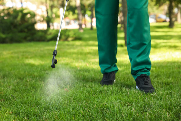 Best Affordable Pest Control Services  in Lakeview, MI