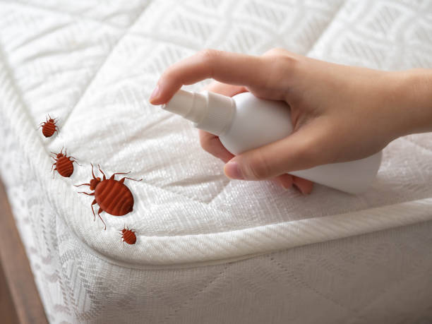 Best Best Pest Control Near Me  in Lakeview, MI
